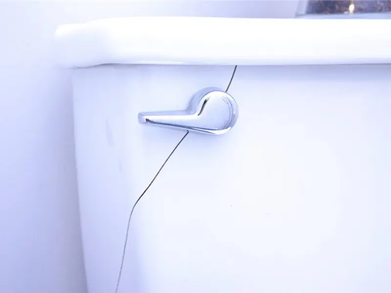 Craked Toilet