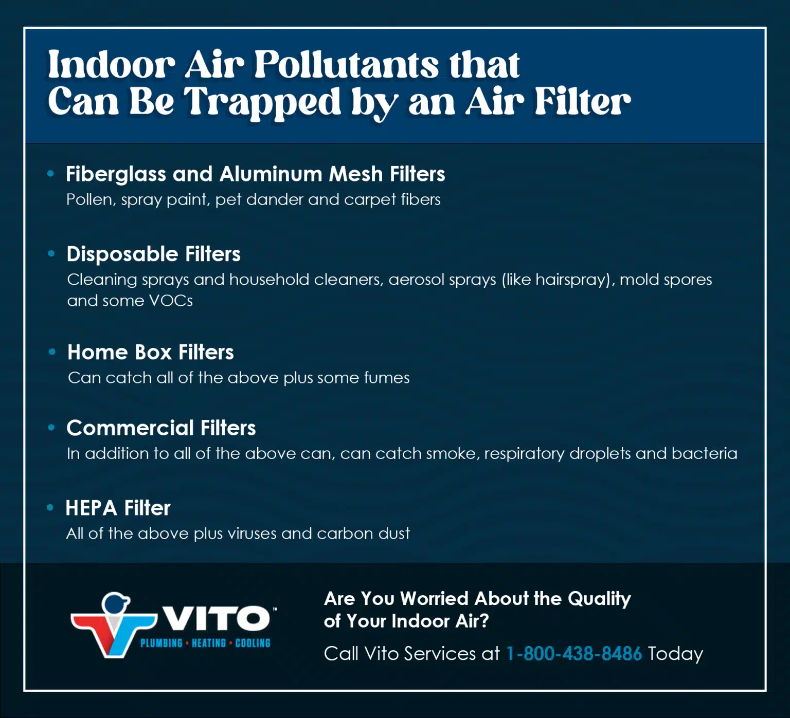 Vito Batch 5 Filter Infographic 1 1536×1397 1 Vito Batch 5 Filter Infographic 1 1536x1397 1