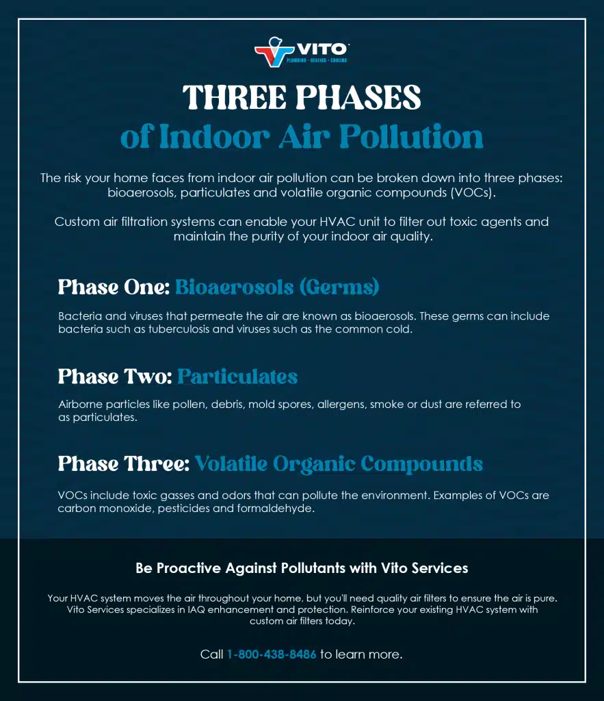 Vito Batch3 Infographic 883×1024 1 Vito Batch3 Infographic 883x1024 1